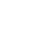Selected Option Icon